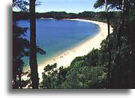 Abel Tasman National Park